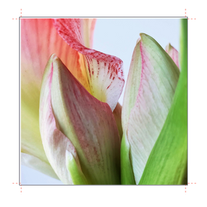 8" x 8" Frame